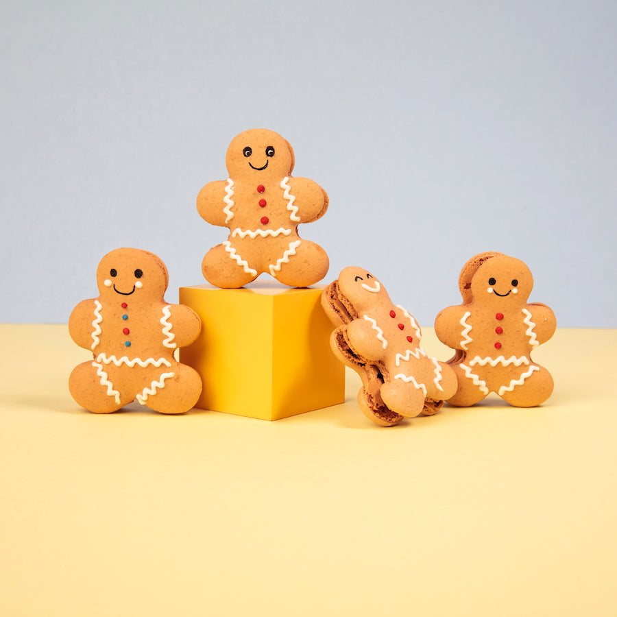 Christmas Gift Box of Gingerbread Folk and Snowpeople Macarons