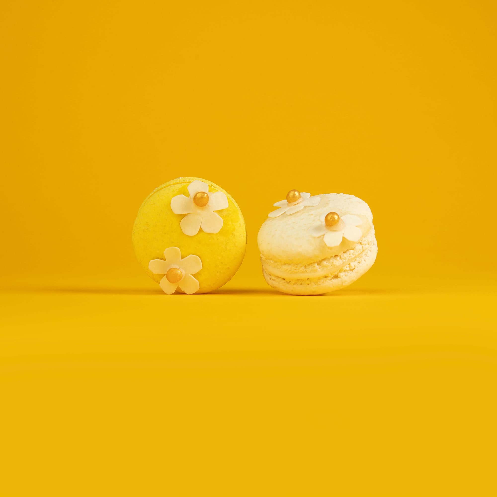 Happy Daisy Macarons