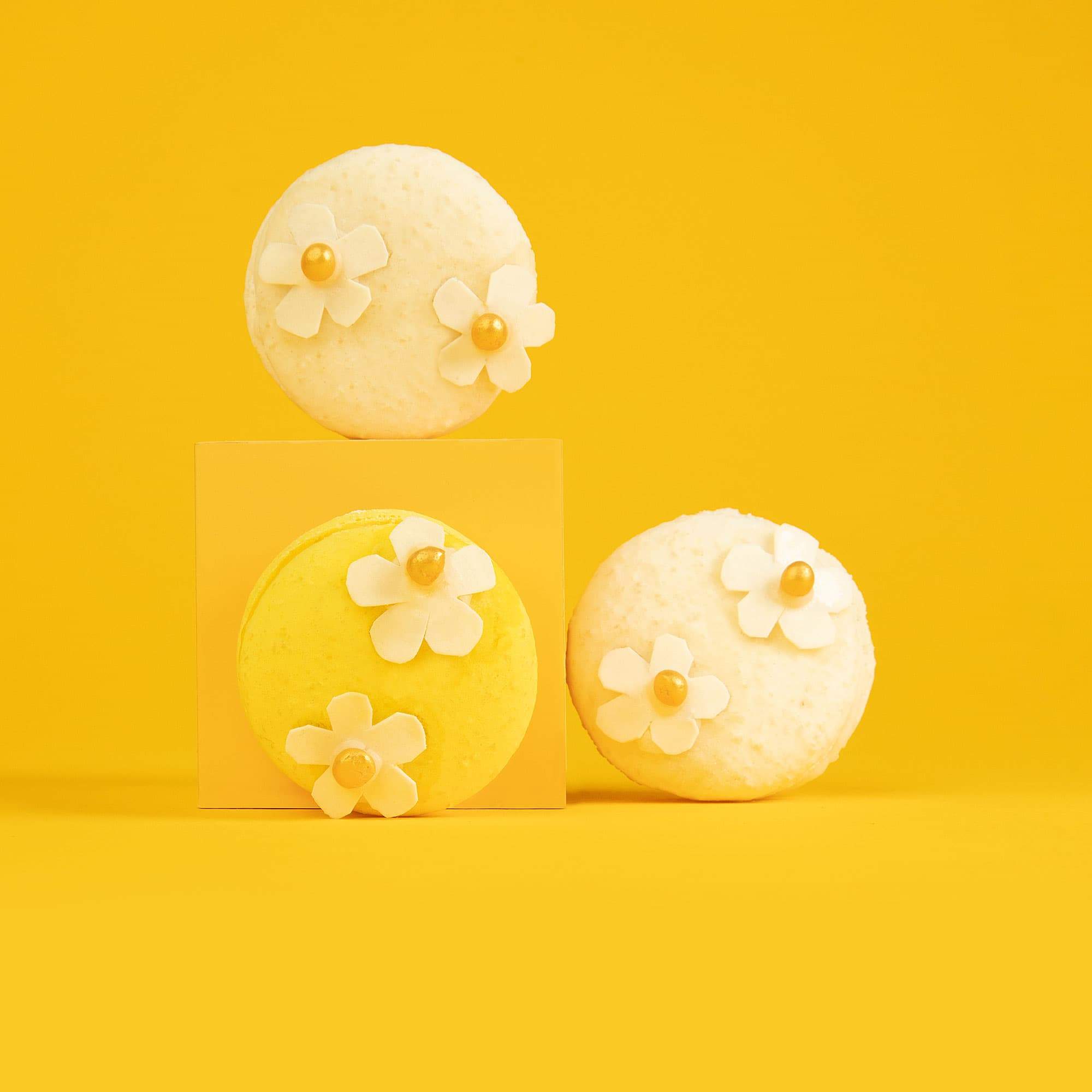 Happy Daisy Macarons