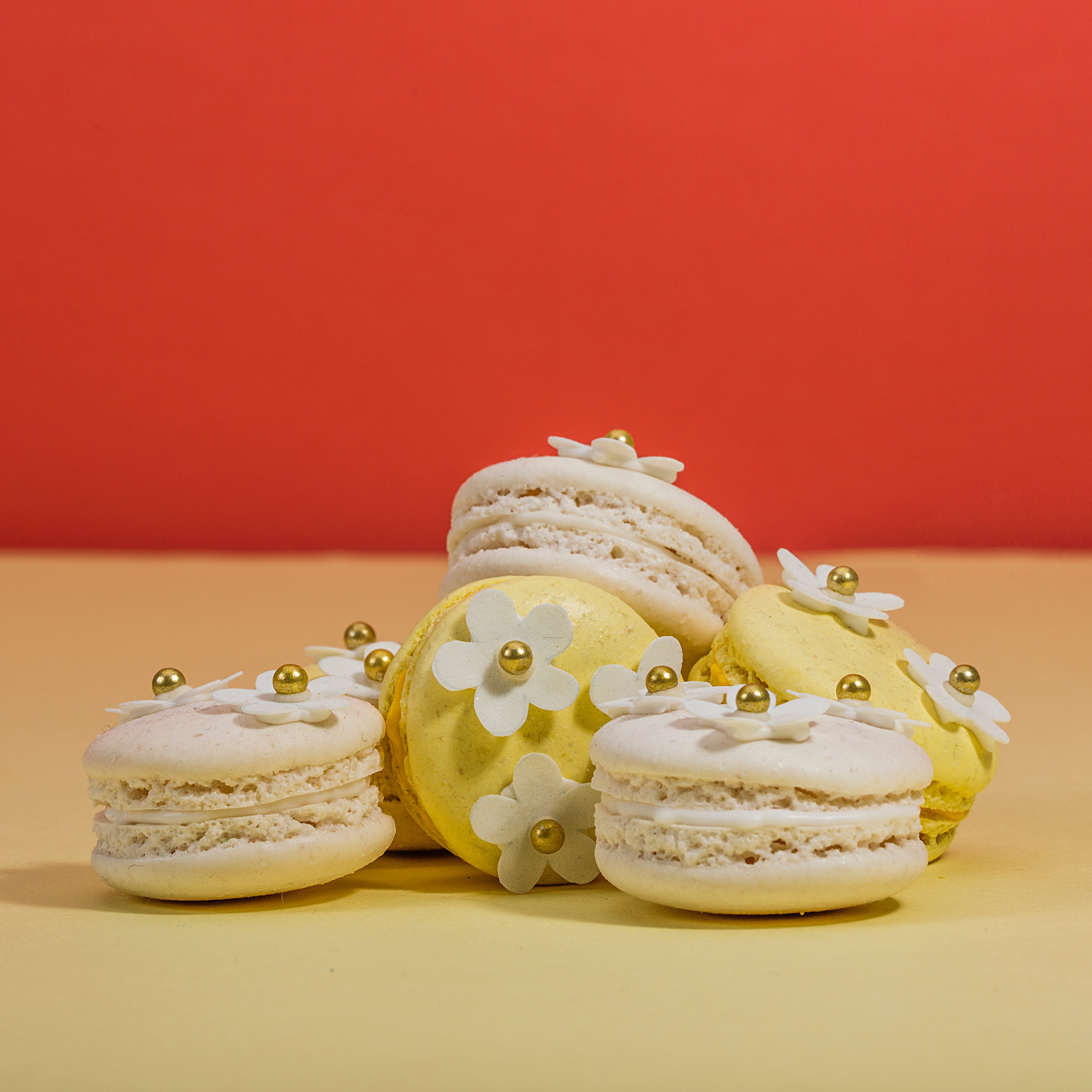 Happy Daisy Macarons