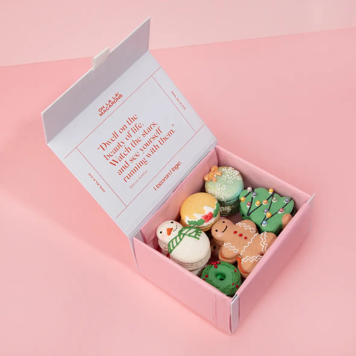 Christmas macaron assortment in a pink box