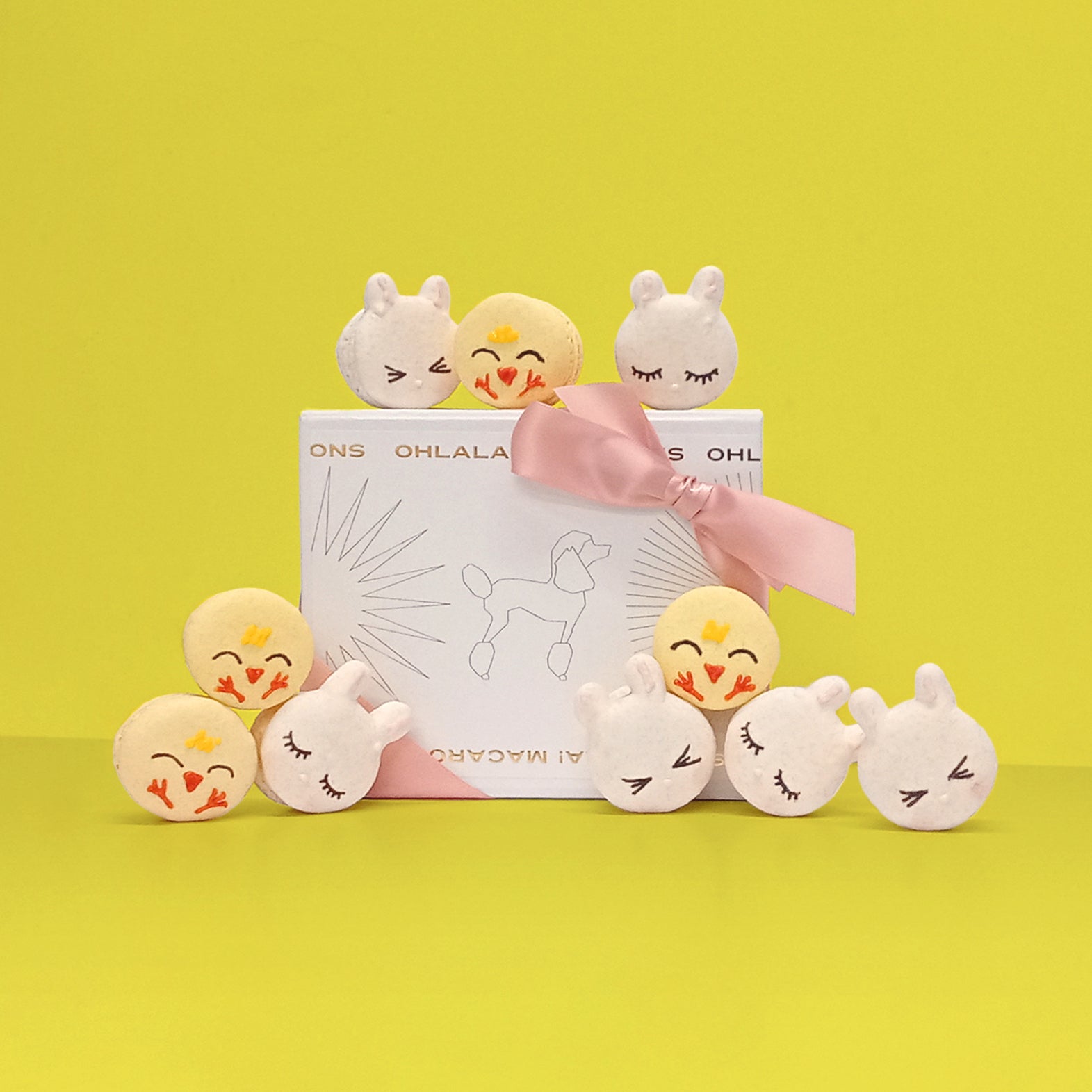 Chicks & Bunny Macarons